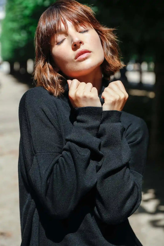 Pull col roulé laine mérinos vue de face